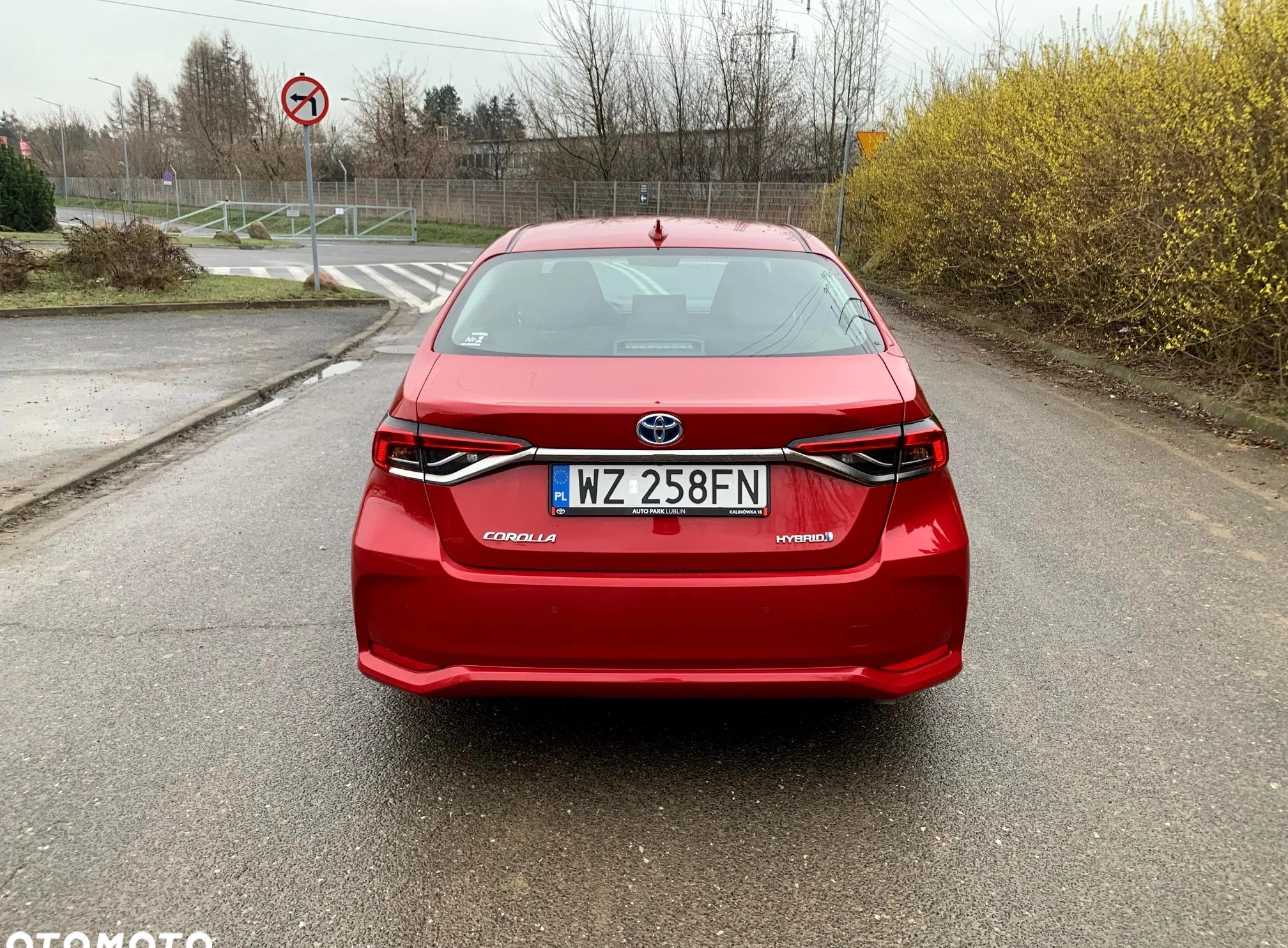 Toyota Corolla cena 79900 przebieg: 37000, rok produkcji 2020 z Radzyń Chełmiński małe 137